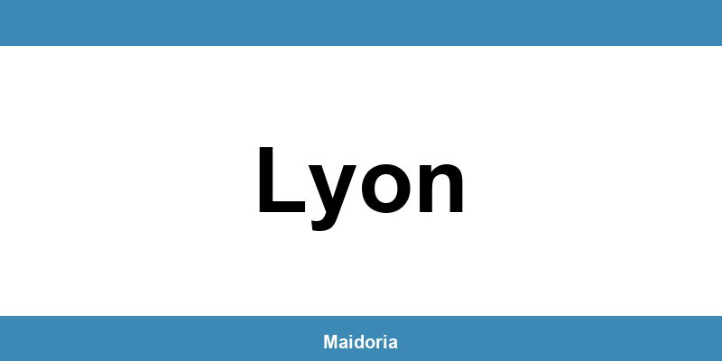 Téléphone de la MDS à Lyon